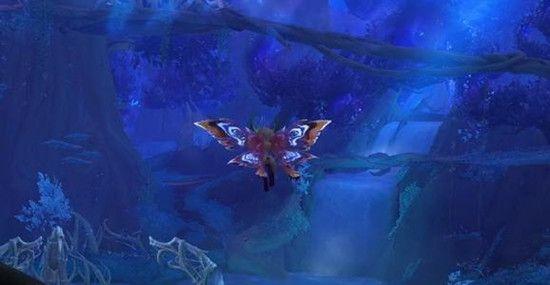 救援瓢虫宝宝