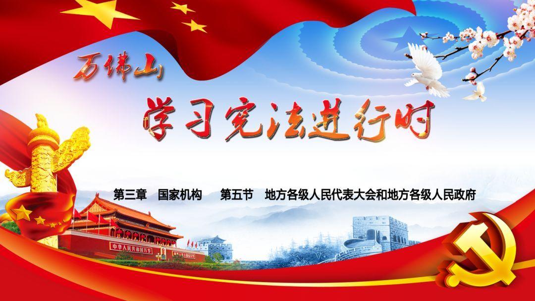被关起来的吉娃娃为了出去,把门都给拆了,可是……
