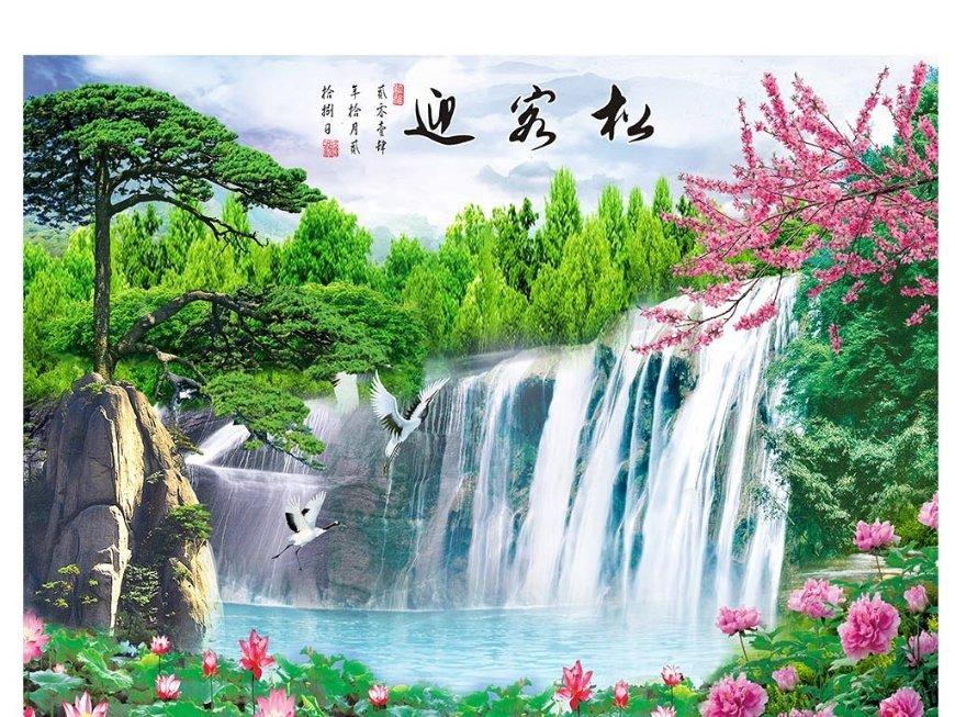 户外植物苦蘵是长什么样的？